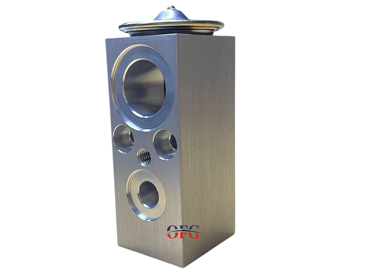 Ford Cargo Expansion Valf 10'luk Vidalı