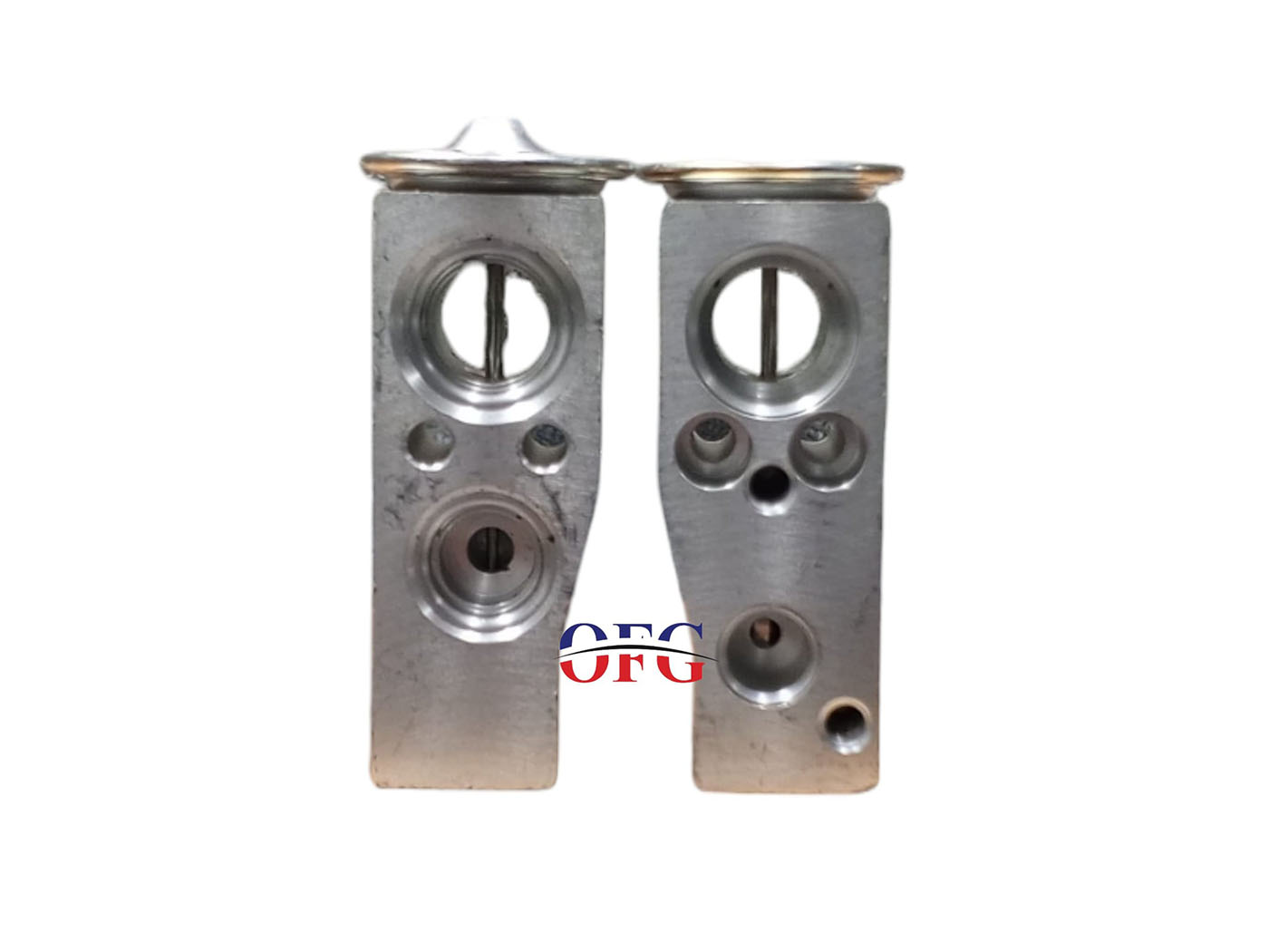 Renault Fluence Yeni Model Expansion Valf