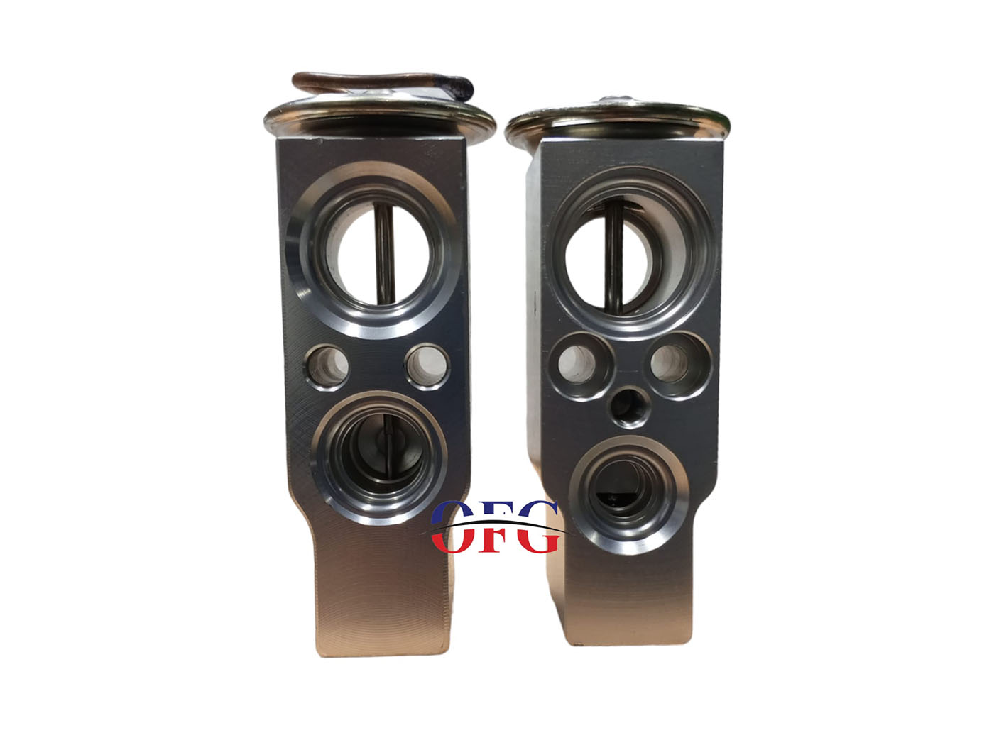 Renault Clio - Kangoo - Mercedes Expansion Valf