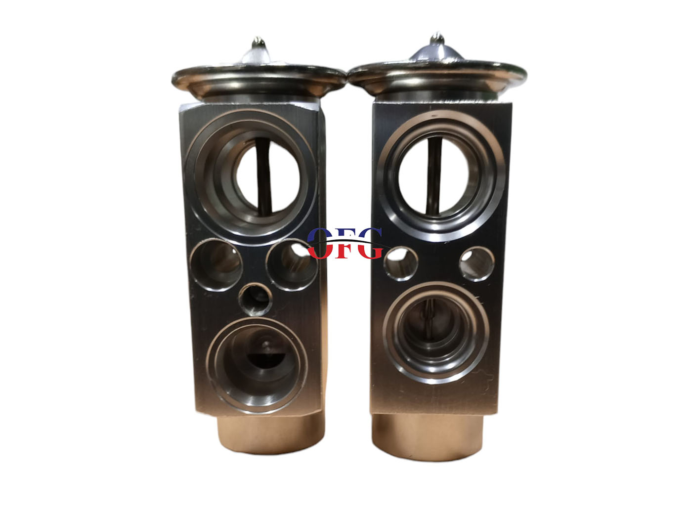 Bmw 5 Serisi - E60 Expansion Valf