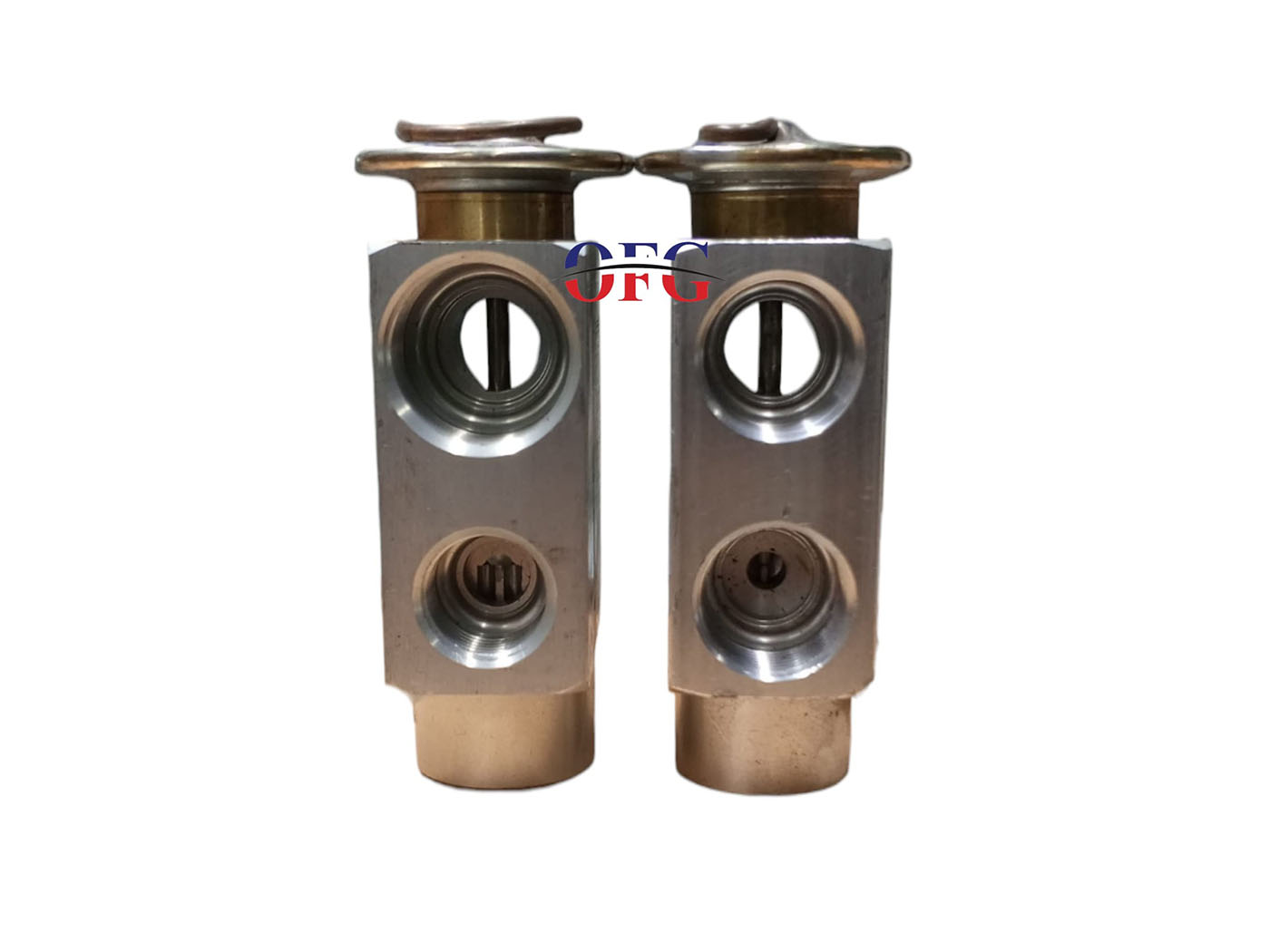 Mercedes - Bmw - Vw - Block Orjinal Delphi Expansion Valf